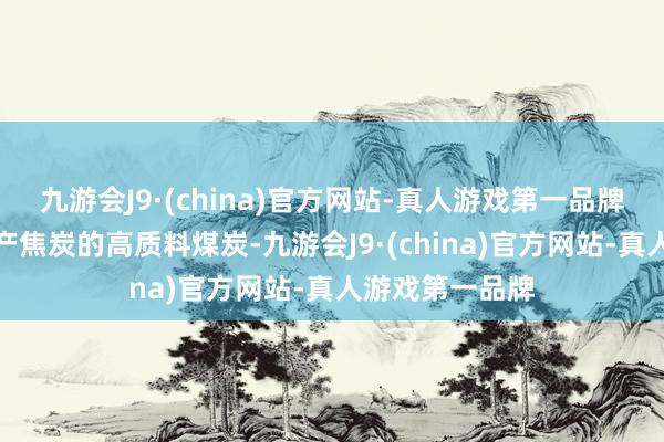 九游会J9·(china)官方网站-真人游戏第一品牌是一种用于出产焦炭的高质料煤炭-九游会J9·(china)官方网站-真人游戏第一品牌