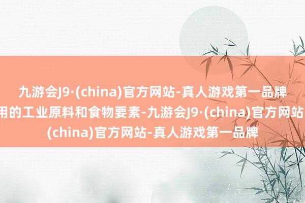 九游会J9·(china)官方网站-真人游戏第一品牌淀粉是一种日常使用的工业原料和食物要素-九游会J9·(china)官方网站-真人游戏第一品牌