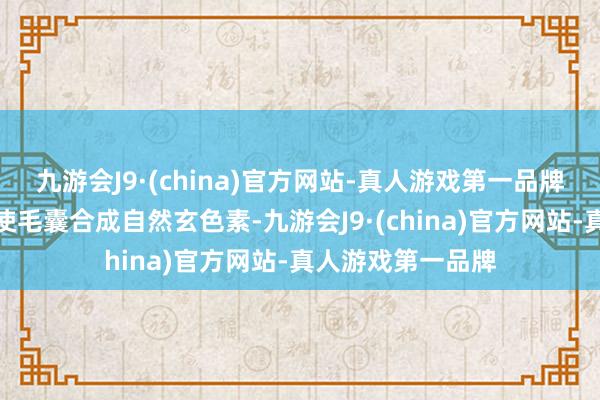 九游会J9·(china)官方网站-真人游戏第一品牌豪爽通过光照促使毛囊合成自然玄色素-九游会J9·(china)官方网站-真人游戏第一品牌