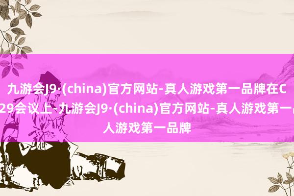 九游会J9·(china)官方网站-真人游戏第一品牌在COP 29会议上-九游会J9·(china)官方网站-真人游戏第一品牌