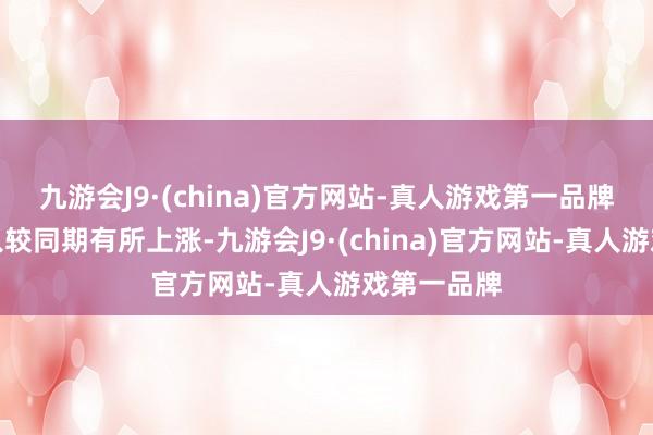 九游会J9·(china)官方网站-真人游戏第一品牌虽业务收入较同期有所上涨-九游会J9·(china)官方网站-真人游戏第一品牌