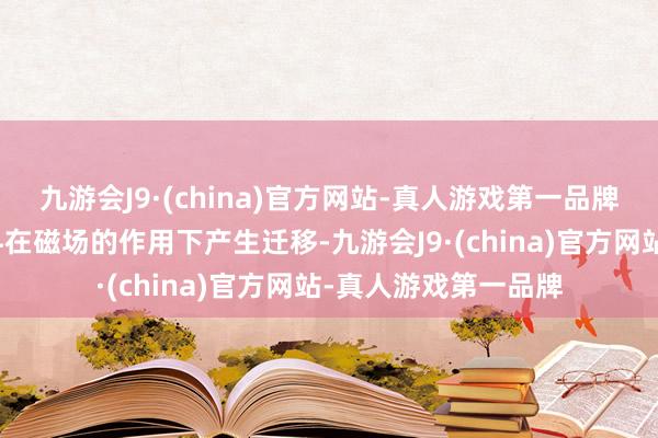 九游会J9·(china)官方网站-真人游戏第一品牌使得运输带上的物料在磁场的作用下产生迁移-九游会J9·(china)官方网站-真人游戏第一品牌