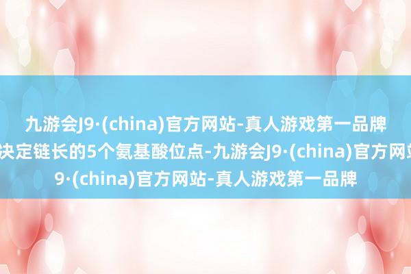 九游会J9·(china)官方网站-真人游戏第一品牌科研团队最终细目了决定链长的5个氨基酸位点-九游会J9·(china)官方网站-真人游戏第一品牌